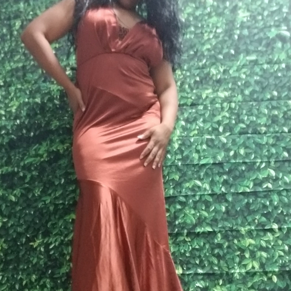 Bronze Dress